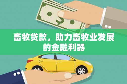 开封畜牧贷款，助力畜牧业发展的金融利器