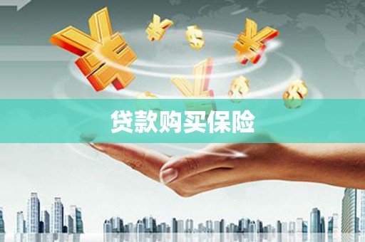 开封贷款购买保险