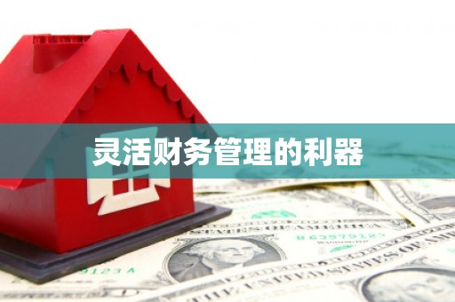 开封灵活财务管理的利器