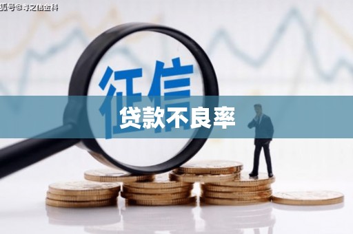 开封贷款不良率