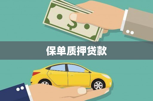 开封保单质押贷款