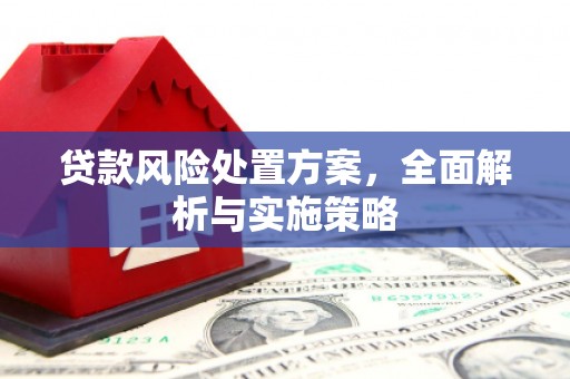 开封贷款风险处置方案，全面解析与实施策略