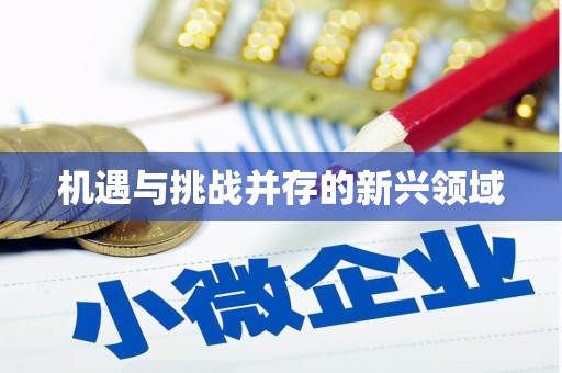 开封机遇与挑战并存的新兴领域